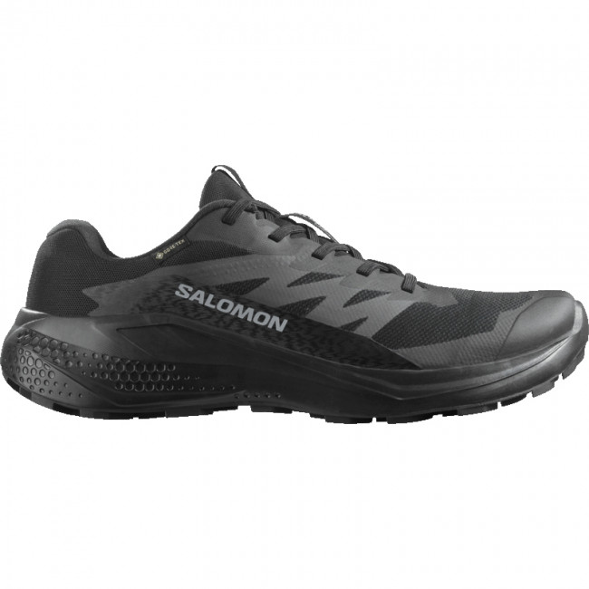 Salomon Alphaglide GTX